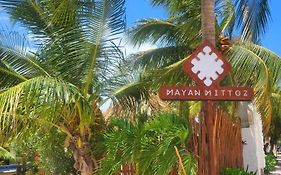 Mayan Mittoz